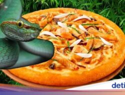 5 Minuman Ini Diracik Bersama Daging Ular, Pizza hinggs Abon