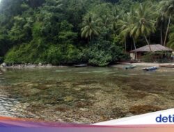 5 Spot Diving Rekomendasi Bupati Halmahera