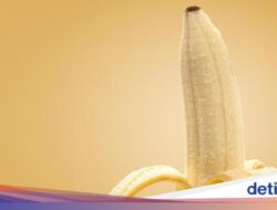 Bapak-bapak! Mohon Dicatat, 6 Rekomendasi Variasi Bercinta Berdasarkan Bentuk Mr P