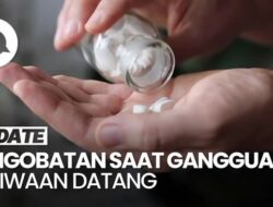 Kata Praktisi Medis soal Kapan Perlu Dukungan Terapi-obatan Di Tekanan Datang
