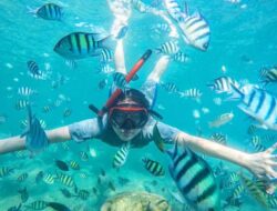 7 Spot Snorkeling Terindah Ke Kepulauan Seribu, Nomor 5 Masih Alami