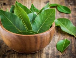 8 Daun Penurun Tensi, Solusi Alami Sebagai Hipertensi