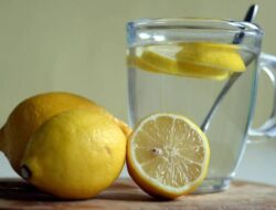 8 Minuman Penetralisir Tubuh Sesudah Makan Daging Kurban