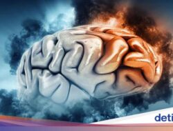 Perlu Dicatat! Ini Latihan Sederhana yang Bisa Bantu Jaga Kesejaganan Otak