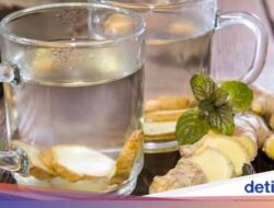 Apa yang Terjadi Ke Tubuh Jika Minum Air Jahe Setiap Hari? Begini Penjelasannya