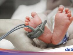 Komnas KIPI Buka Suara Yang Terkait Bersama Bayi 3 Bulan Hingga Sukabumi Meninggal usai Imunisasi