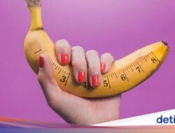 Ukuran Penis Terpanjang Untuk Bangsa Mana? Begini Temuan Eksperimen