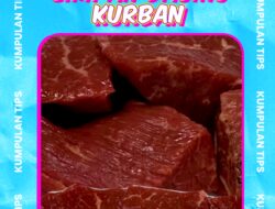 3 Tips Sehat Menyimpan Daging Kurban