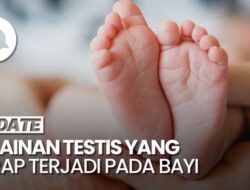 Mengenal Undescended Testis Ke Bayi