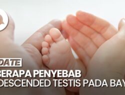 Sejumlah Penyebab Terjadinya Testis Tidak Turun Ke Bayi