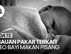 Tanggapi Video Bayi Diberi Pisang, Pakar: ASI Kurang? Hubungi Konselor Laktasi!