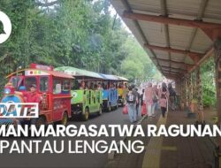 Situasi Taman Margasatwa Ragunan Hingga Long Weekend