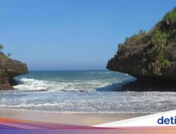 Pantai Sedahan, Hidden Gem Sekaligus Daerah Konservasi Penyu Ke Jogja