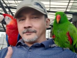 Adi Bing Slamet Kembali Mengucap Syahadat usai Lepas Bersama Jeratan Eyang Subur