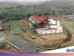 Ada Ragam Event Ke Agrowisata Tamansuruh Banyuwangi Pekan Ini, Apa Saja?