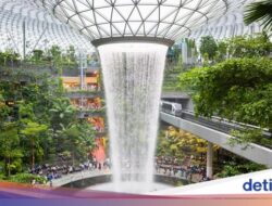 Aww! Kepala Turis China Terluka Pada Perosotan Di Bandara Changi