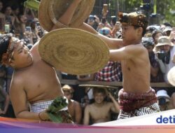 Protes Berani Pria Di Bali Ikut Pertempuran Pandan Berduri