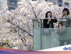 Tingkat Kelahiran Di Jepang Jeblok, Jumlah Anak Diprediksi Makin ‘Langka’