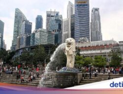 Pertama Kali Di Singapura, Turis Kaget Lihat Banyak Peringatan Di Jalan