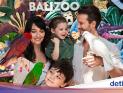 Yuk Kenalan Bersama 500+ Hewan Langka dan Eksotik Di Bali Zoo