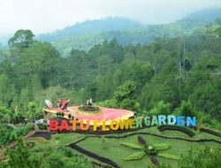 Batu Flower Garden, Pesona Taman Bunga Hingga Lereng Gunung Panderman Malang