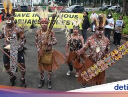 Mengenal Suku Awyu Ke Balik All Eyes on Papua