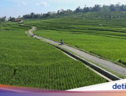 Belajar Agrowisata Tani Organik Hingga Majalengka