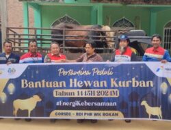 Berbagi Di Hari Raya Iduladha, Pertamina Salurkan 4.493 Hewan Kurban