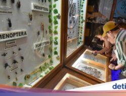 Bermain Sambil Belajar Ke Museum Satwa Medan