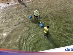 Bersih-bersih Totalitas Di Labuan Bajo, Di Pantai-Bawah Laut