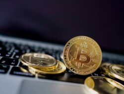 Bitcoin Bisa Di Sebab Itu Opsi Fleksibilitas Di Ekonomi Tidak Stabil
