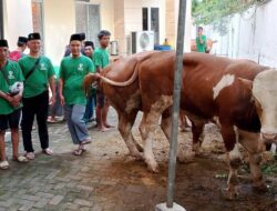 BKI Bagikan Daging Kurban Ke Warga Disekitar Daerah Operasi