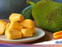 Cempedak vs Nangka, Lebih Enak Mana? Ini 7 Perbedaannya