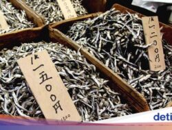 Mau Berumur Panjang Seperti Warga Jepang? Jangan Skip Pola Makan Sederhana Ini