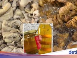 Energi Kulit Ayam Bisa Bikin Masakan Lebih Gurih, Ini Cara Membuatnya!