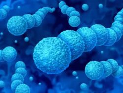 Cara Mencegah Infeksi Bakteri Pemakan Daging yang Lagi Mewabah Ke Jepang