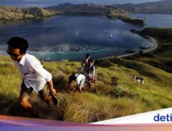 Ini Dia Dua Perusahaan Swasta Pengelola Usaha TN Komodo, Pengganti Flobamor