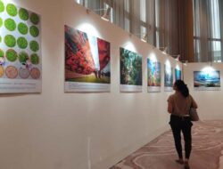 Charming Guangdong 2024 Sukses Pukau Penonton Bersama Warisan Kearifan Lokal Dunia dan Keindahan Alam