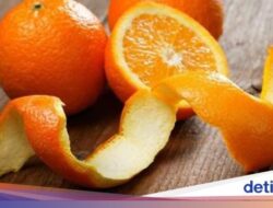 Jangan Dibuang! Kulit Jeruk Ternyata Sangat Kaya Gizi, Ini Manfaatnya