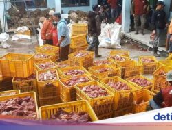 Dusun Kecil Di Jateng Ini Kurban Lebih Didalam 70 Sapi dan Hampir 300 Kambing