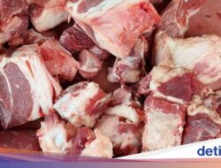 Daging Kurban Ke Freezer Konsisten Berapa Lama?