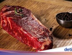 Efek Minum Minuman Ke Pria hingga Daging Sapi Terbaik Hingga Dunia