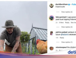 Healing Bisa Ke Rumah Seperti David Beckham: Berkebun Ditemani Ayam-ayam
