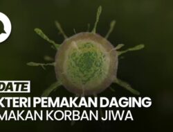77 Orang Tewas Akibat Wabah Bakteri Pemakan Daging Di Jepang