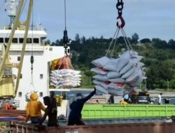 Demurrage Beras Produk Impor Rugikan Negeri Rp350 M, Bos Bulog Anggap Hal Biasa