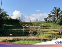 Desa Wisata Taro, Desa Kuno Di Gianyar, Bali