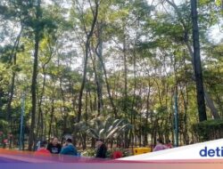 Ke Di Jakarta Utara yang Terik, Ada Kesejukan Hutan Kota Penjaringan
