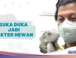 Mengulik Profesi Praktisi Medis Hewan yang Kerap Dipandang Sebelah Mata