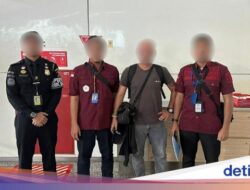 Dua Bule Nekat Dari Sebab Itu Instruktur Diving, ‘Ditendang’ Deh Didalam Bali