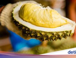 Pencinta Durian, Ini 4 Negeri Asia Tenggara yang Punya Durian Terbaik